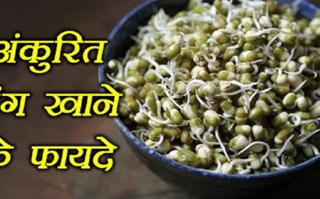 रोजाना अंकुरित मूंग खाने के क्या हैं जबरदस्त फायदे, जानकर आप भी आज से ही करेंगे डाइट में शामिल