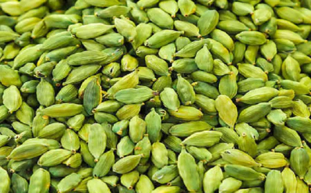 सुबह खाली पेट 2 हरी इलायची खाने से मिलेंगे ये जबरदस्त फायदे, जानिए कैसे करें सेवन