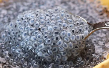 पोषण का खजाना है ये काले रंग का बीज, गर्मियों में सेहत के लिए है फायदेमंद, जानिए सेवन का सही तरीका