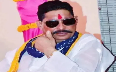 "सब 'फाजुल' बात है..ऐसा कोई पैदा नहीं लिया जो...", नीतीश कुमार के इस्तीफे के सवाल पर अनंत सिंह की दो टूक