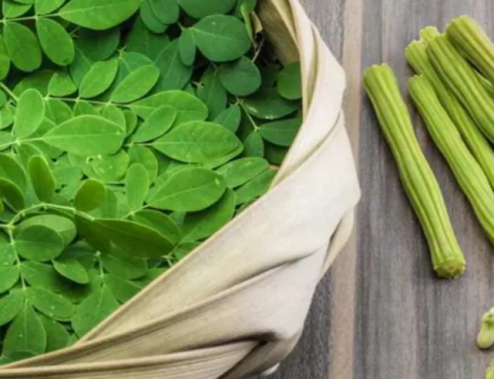 सुपरफूड सहजन के फायदे जानकर रह जाएंगे हैरान, शरीर को मिलते हैं कई जरूरी पोषक तत्व