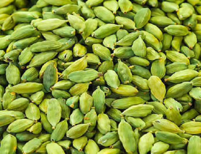 सुबह खाली पेट 2 हरी इलायची खाने से मिलेंगे ये जबरदस्त फायदे, जानिए कैसे करें सेवन