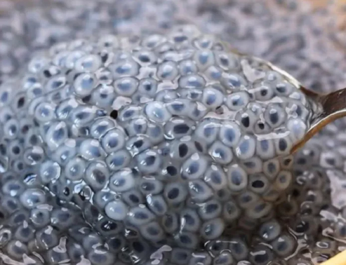 पोषण का खजाना है ये काले रंग का बीज, गर्मियों में सेहत के लिए है फायदेमंद, जानिए सेवन का सही तरीका