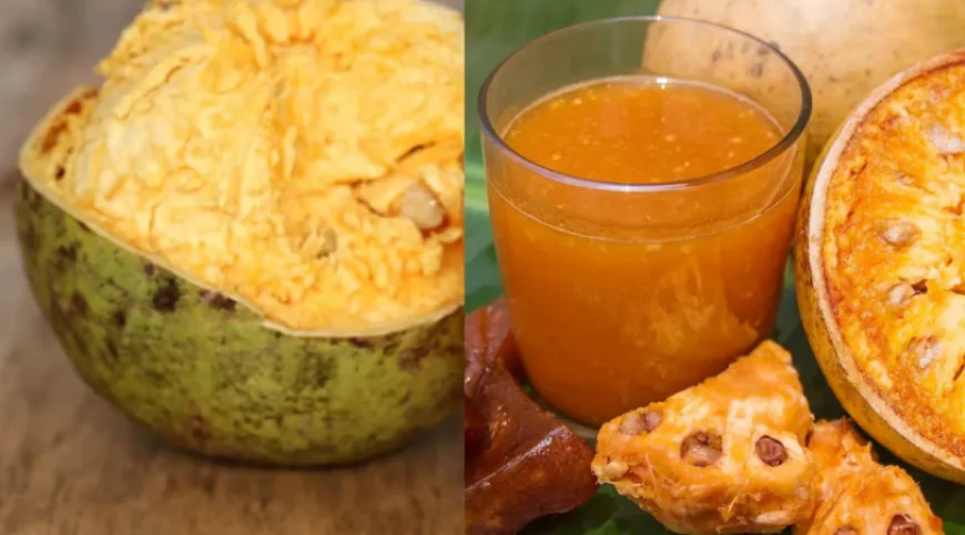 गर्मियों में पिएं बेल का शरबत, जानें रोज पीने के क्या होंगे बड़े फायदे