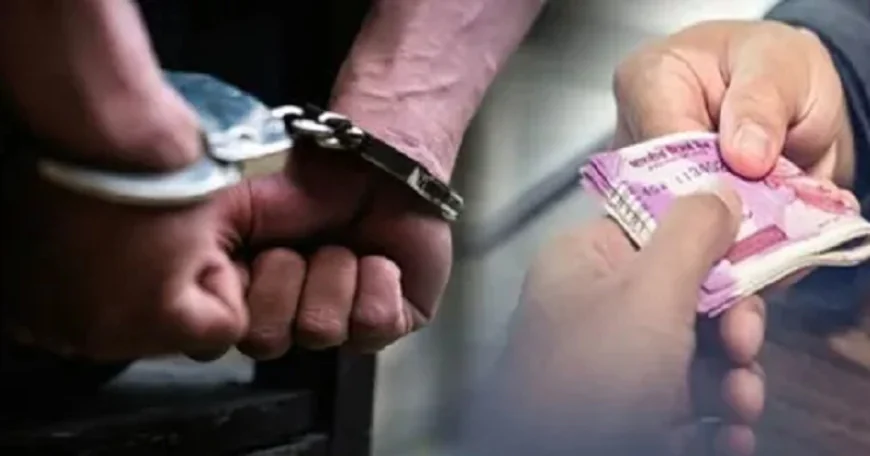 निगरानी की बड़ी कार्रवाई, प्राथमिक स्वास्थ्य केन्द्र के बड़ा बाबू 10 हजार रुपये घूस लेते रंगेहाथ गिरफ्तार