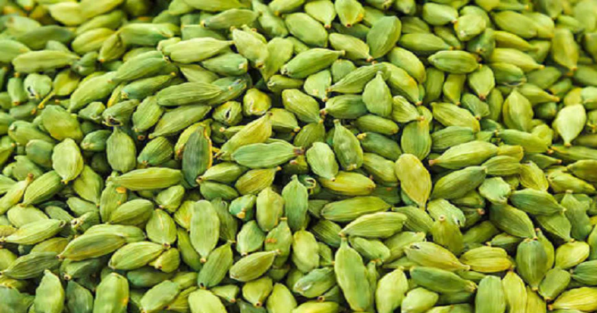 सुबह खाली पेट 2 हरी इलायची खाने से मिलेंगे ये जबरदस्त फायदे, जानिए कैसे करें सेवन