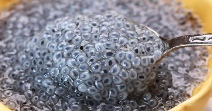 पोषण का खजाना है ये काले रंग का बीज, गर्मियों में सेहत के लिए है फायदेमंद, जानिए सेवन का सही तरीका