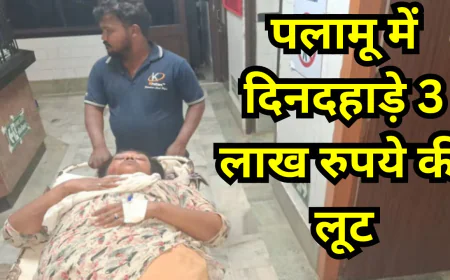 पलामू में दिनदहाड़े 3 लाख रुपये की लूट, सीएसपी संचालक दंपति को गोली मार अपराधी फरार, इलाके में दहशत