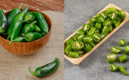हरी मिर्च में छिपा है पोषण का खजाना, जानिए होता है कौन-सा विटामिन, शरीर को होते हैं क्या फायदे? 