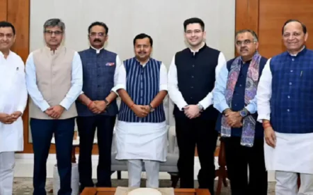 आम आदमी पार्टी को लगा बड़ा झटका, AAP के 7 सांसदों के भाजपा में विलय को मंजूरी, राज्यसभा चेयरमैन ने दी अनुमति