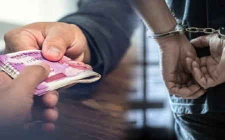 निगरानी की बड़ी कार्रवाई, मौलाना मजहरुल हक यूनिवर्सिटी के असिस्टेंट रजिस्ट्रार ढाई लाख रुपये घूस लेते गिरफ्तार