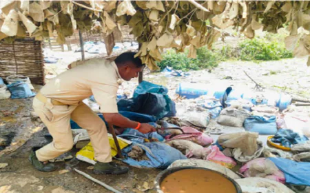 झारखण्ड में एक्शन में उत्पाद विभाग, दो हजार केजी जावा महुआ किया नष्ट