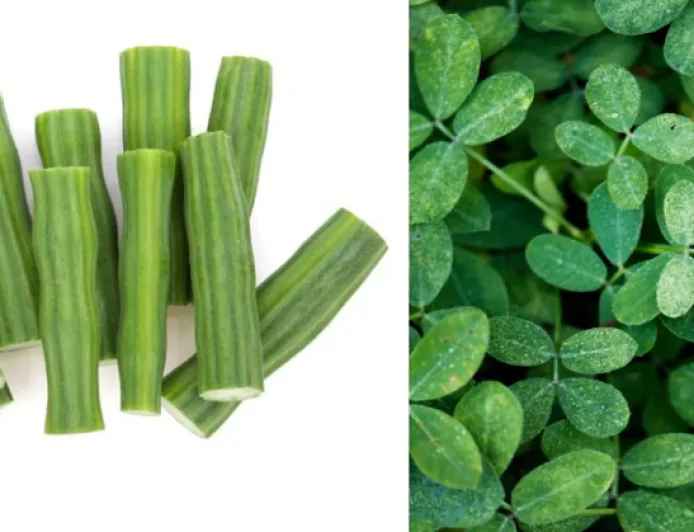 गर्मियों में ‘सहजन’ क्यों है सुपरफूड? पाचन से लेकर इम्यूनिटी तक देता है जबरदस्त फायदा, जानकर हो जाएंगे हैरान