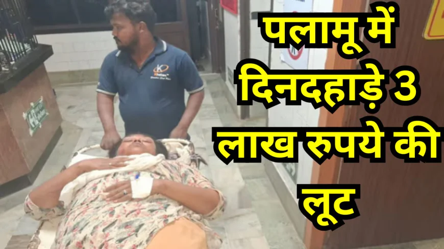 पलामू में दिनदहाड़े 3 लाख रुपये की लूट, सीएसपी संचालक दंपति को गोली मार अपराधी फरार, इलाके में दहशत