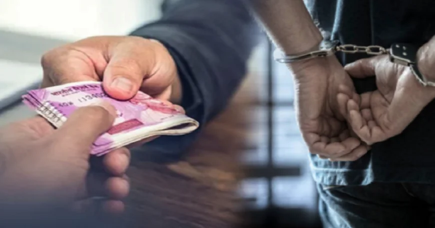 निगरानी की बड़ी कार्रवाई, मौलाना मजहरुल हक यूनिवर्सिटी के असिस्टेंट रजिस्ट्रार ढाई लाख रुपये घूस लेते गिरफ्तार