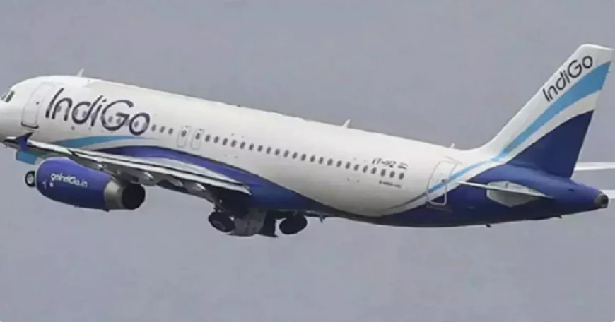 रायपुर एयरपोर्ट पर इंडिगो की इमरजेंसी लैंडिंग, महिला यात्री हुई बेहोश, मचा हड़कंप, जानिए क्या है पूरा मामला