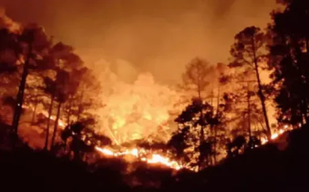 BIG NEWS : उत्तराखंड से लेकर आंध्र प्रदेश तक 12 राज्यों के जंगलों में धधकी आग, मध्य प्रदेश का बुरा हाल 