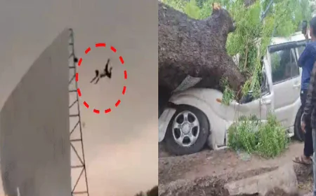 यूपी में आंधी-तूफान से 104 लोगों की मौत, मचा कोहराम, 80 किमी प्रति घंटे की रफ्तार वाली आंधी में उड़ा युवक, वीडियो वायरल