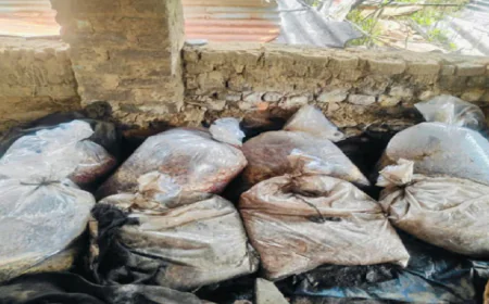 पश्चिमी सिंहभूम में अवैध शराब कारोबार पर बड़ा प्रहार, 8 भट्टियां ध्वस्त, 2400 किलो जावा महुआ नष्ट