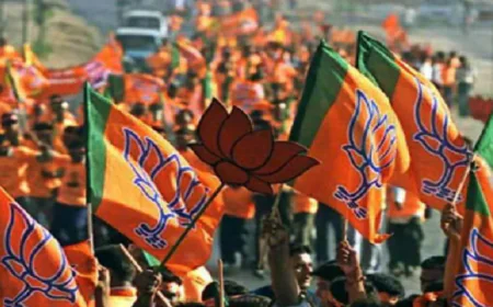 Jharkhand News : झारखण्ड बीजेपी ने जारी की जिला पदाधिकारी की नई सूची, देखें पूरी लिस्ट 
