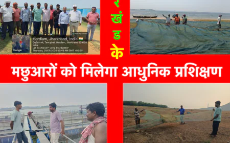 वैज्ञानिक तरीकों से मत्स्य उत्पादन मछुआरों की समृद्धि में सहायक : अमरेंद्र कुमार 