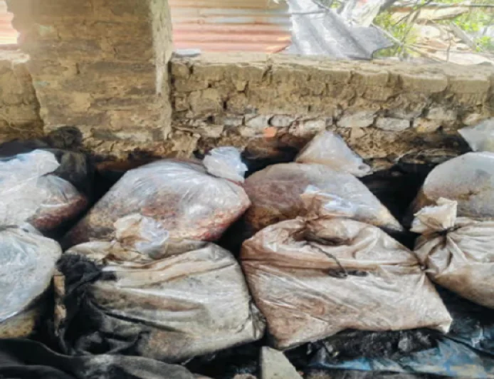 पश्चिमी सिंहभूम में अवैध शराब कारोबार पर बड़ा प्रहार, 8 भट्टियां ध्वस्त, 2400 किलो जावा महुआ नष्ट