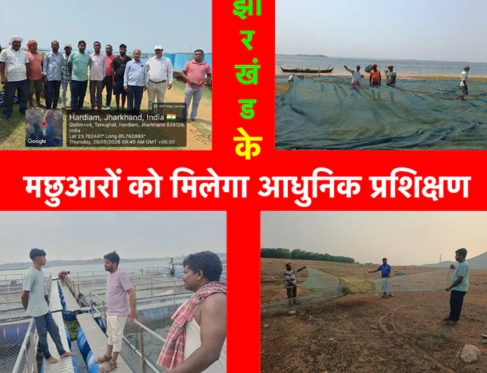 वैज्ञानिक तरीकों से मत्स्य उत्पादन मछुआरों की समृद्धि में सहायक : अमरेंद्र कुमार 