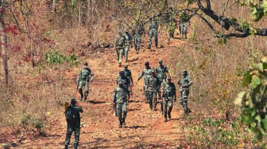 चाईबासा के जंगल में सुरक्षाबलों और नक्सलियों के बीच मुठभेड़, 2 नक्सलियों के मारे जाने की सूचना