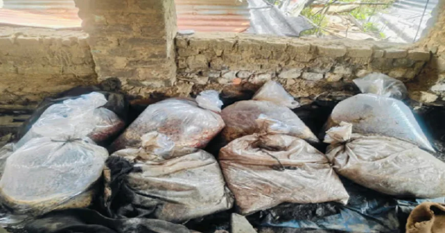 पश्चिमी सिंहभूम में अवैध शराब कारोबार पर बड़ा प्रहार, 8 भट्टियां ध्वस्त, 2400 किलो जावा महुआ नष्ट