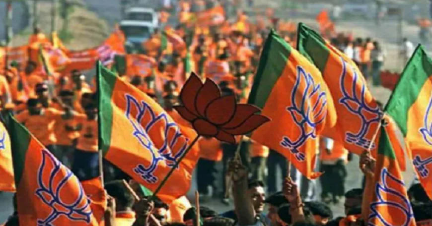 Jharkhand News : झारखण्ड बीजेपी ने जारी की जिला पदाधिकारी की नई सूची, देखें पूरी लिस्ट 