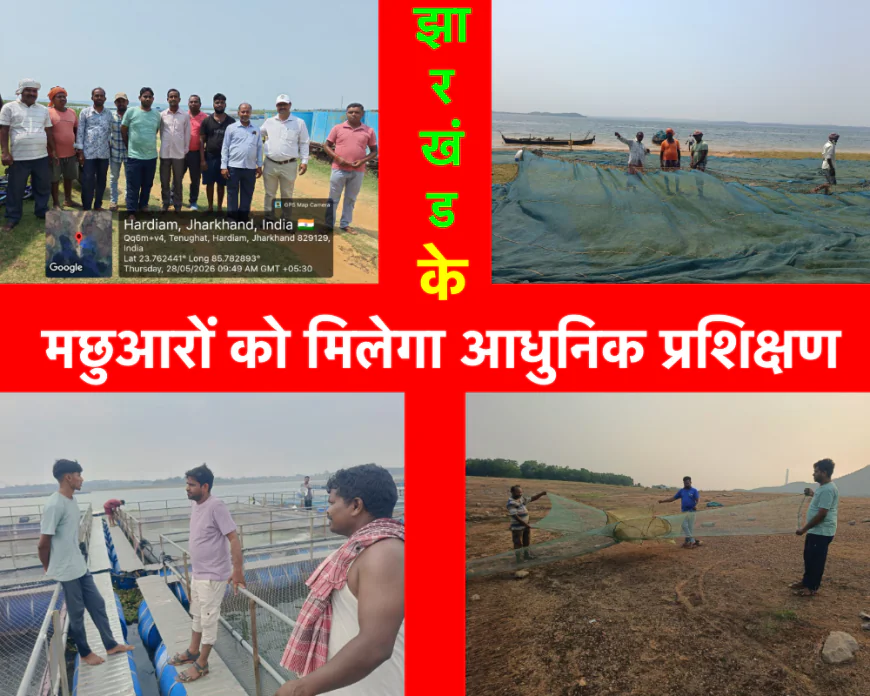 वैज्ञानिक तरीकों से मत्स्य उत्पादन मछुआरों की समृद्धि में सहायक : अमरेंद्र कुमार 