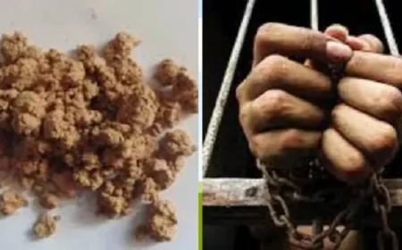चतरा में ड्रग्स सिंडिकेट पर पुलिस का बड़ा प्रहार, ब्राउन शुगर के साथ 4 तस्कर गिरफ्तार