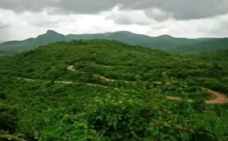 झारखंड में 3 महीने बंद रहेगा इको-टूरिज्म, 1 जुलाई से जंगल पर्यटन पर रोक, वन्यजीव सुरक्षा, संरक्षण और पौधरोपण पर फोकस