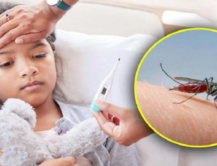 पूर्वी सिंहभूम में ब्रेन मलेरिया का कहर, MGM अस्पताल में 15 बच्चे भर्ती, दो दिनों में 3 बच्चों की मौत