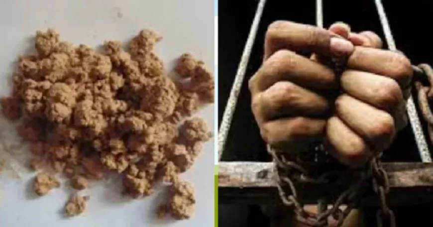 चतरा में ड्रग्स सिंडिकेट पर पुलिस का बड़ा प्रहार, ब्राउन शुगर के साथ 4 तस्कर गिरफ्तार