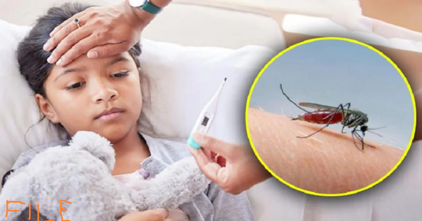 पूर्वी सिंहभूम में ब्रेन मलेरिया का कहर, MGM अस्पताल में 15 बच्चे भर्ती, दो दिनों में 3 बच्चों की मौत