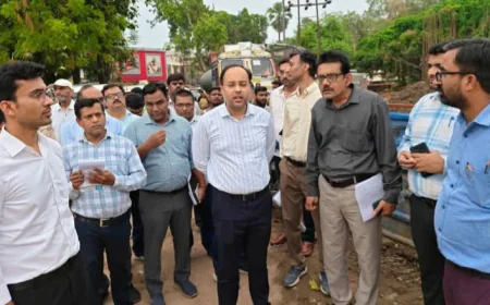 बागेश्वरी एवं मानपुर फ्लाईओवर निर्माणाधीन का  जिला पदाधिकारी ने किया निरीक्षण
