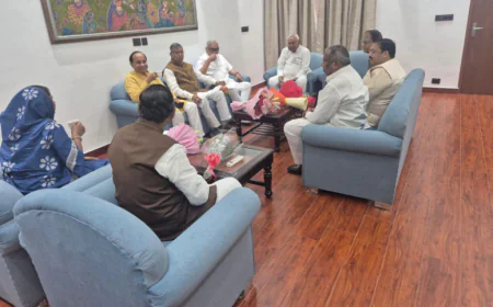 नई दिल्ली में JDU सांसदों के साथ नीतीश कुमार ने की बैठक, मीटिंग से नदारद रहीं लवली आनंद