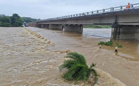 झारखंड में भारी बारिश से हाहाकार, उफान पर कई नदियां, ढह गये कई मिट्टी के घर, डैम लबालब