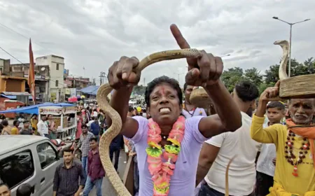 यहाँ जहरीले सांपों से खेलते हैं बच्चे बूढ़े और जवान, साँपो का पर्व मनसा पूजा में नाग सांप की होती है पूजा