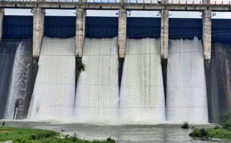 पतरातू डैम के खोले गए 4 फाटक, लगातार बारिश से बढ़ा जलस्तर
