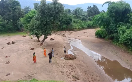 भारी बारिश में ध्वस्त हुआ लातेहार का कुसुमटांड़ डैम, कई एकड़ भूमि में भर गया बालू, किसानों को भारी नुकसान