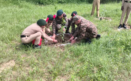 पौधरोपण से पर्यावरण संरक्षण का संदेश, एनसीसी कैडेटों ने सीखे योग और आपदा प्रबंधन के गुर