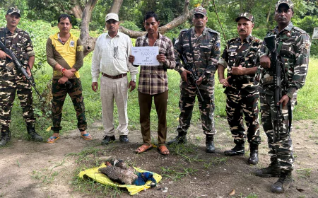 गश्त के दौरान एसएसबी ने पकड़ा संदिग्ध व्यक्ति, बोरी से मृत मोर बरामद