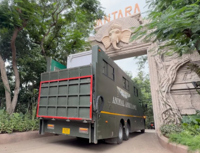 बाढ़ में जख्मी हथिनी ‘जॉयमोती’ को एयरलिफ्ट कर लाया गया वनतारा, विशेष अस्पताल में होगा इलाज