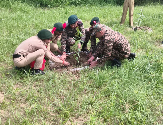 पौधरोपण से पर्यावरण संरक्षण का संदेश, एनसीसी कैडेटों ने सीखे योग और आपदा प्रबंधन के गुर