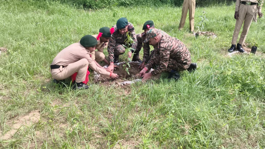 पौधरोपण से पर्यावरण संरक्षण का संदेश, एनसीसी कैडेटों ने सीखे योग और आपदा प्रबंधन के गुर