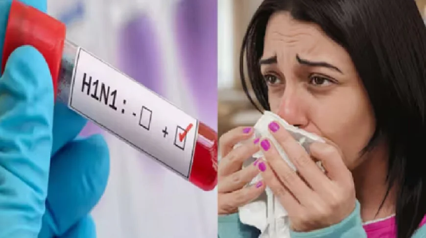 BIG NEWS : झारखंड में बढ़ रहा है स्वाइन फ्लू!, कई मरीजों के सैंपल में मिला H1N1 संक्रमण