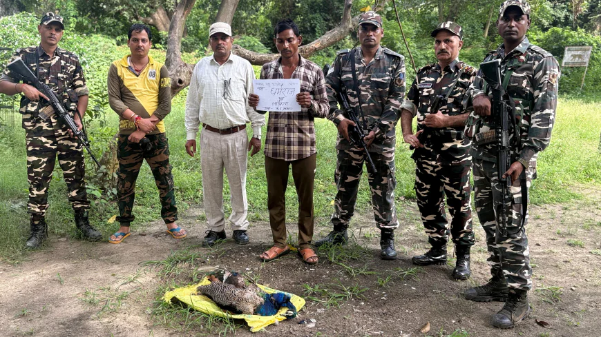 गश्त के दौरान एसएसबी ने पकड़ा संदिग्ध व्यक्ति, बोरी से मृत मोर बरामद