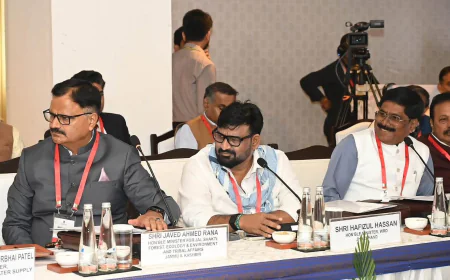 झारखंड का जल संरक्षण पर बड़ा रोडमैप, सिंचाई क्षमता बढ़ाने के लिए केंद्र से मांगा 3,000 करोड़ का सहयोग